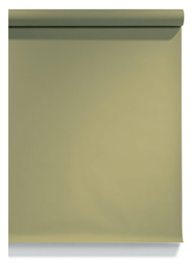 Superior Seamless Paper Background 2.72 x 11m #10 Leaf