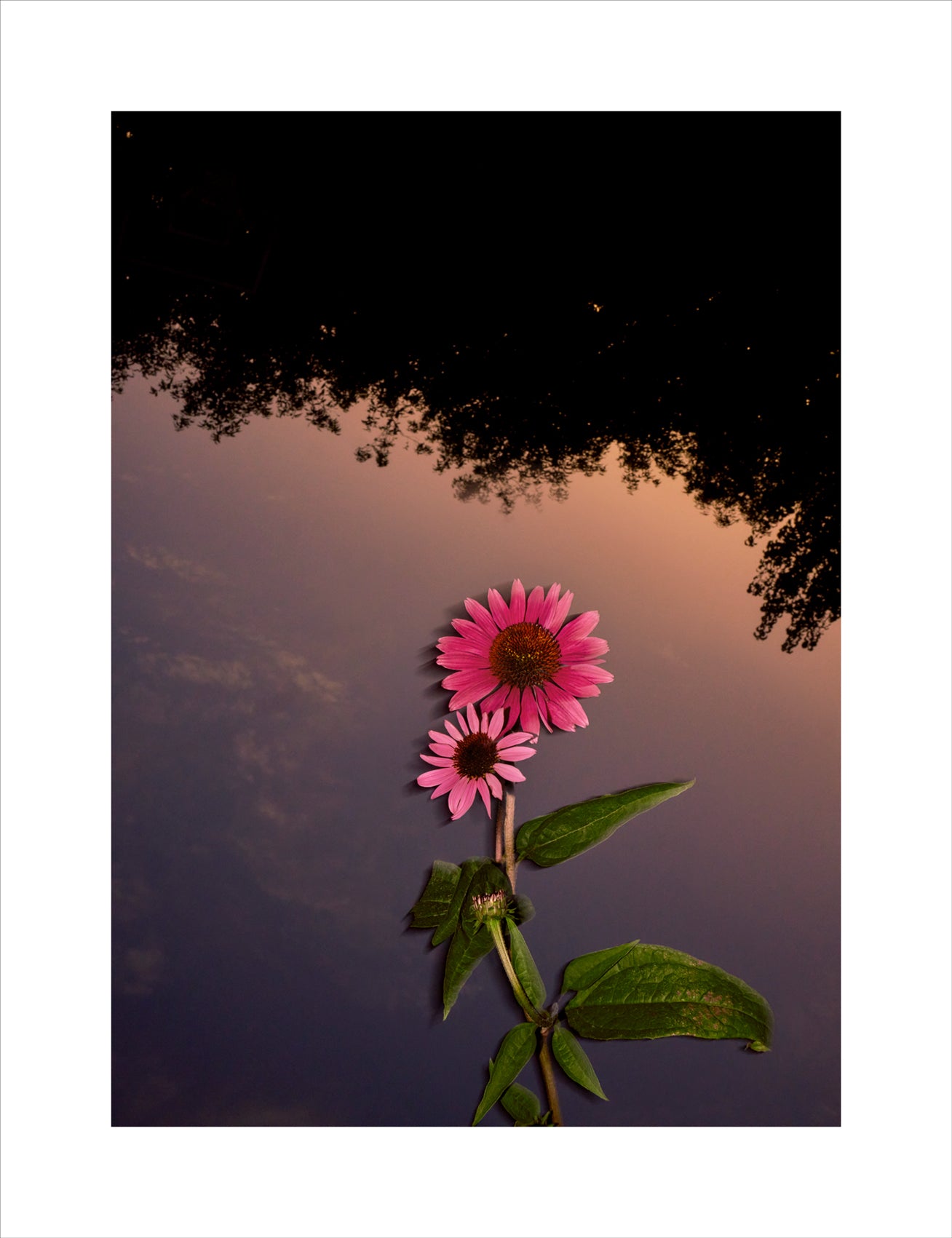 Alexandrena Parker - Untitled