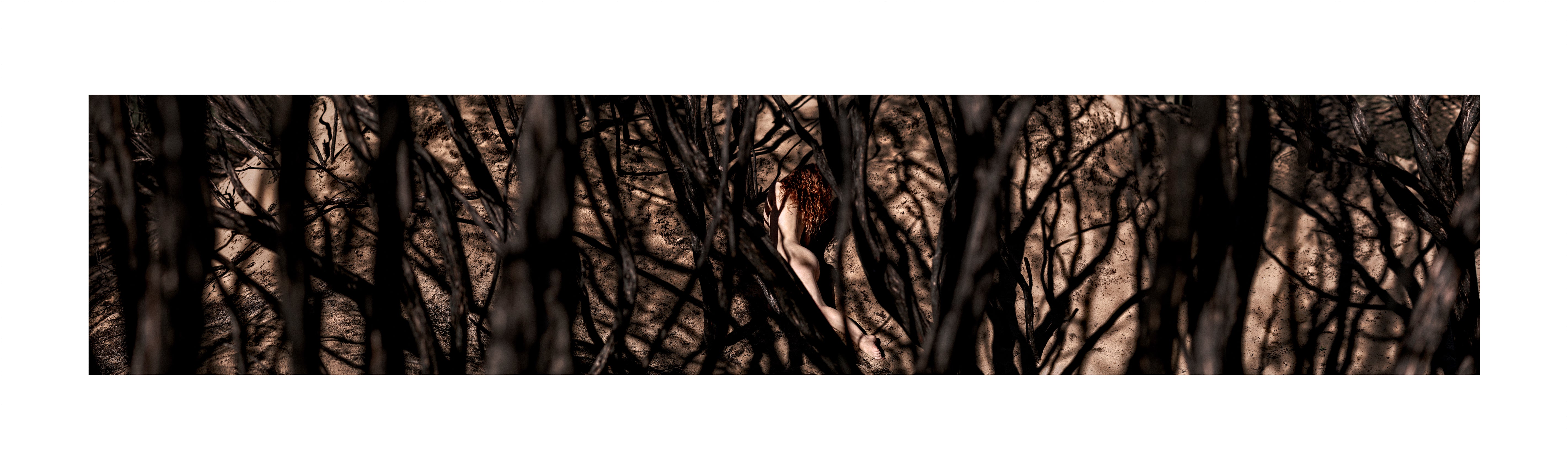 Jeremy Shaw - Untitled