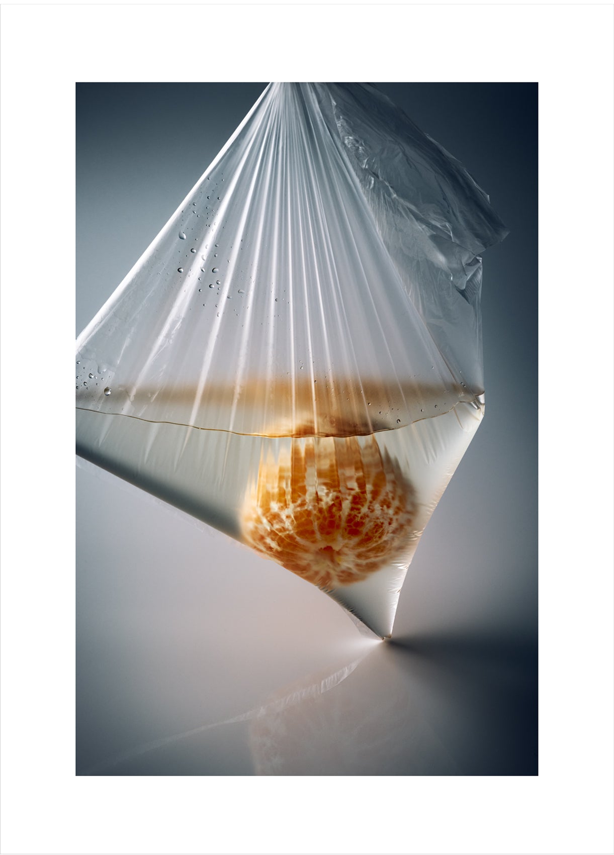 Bonnie Coumbe - Untitled