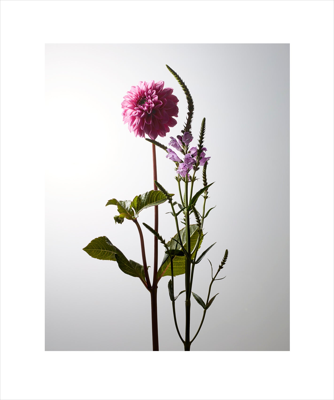 Danny Eastwood - Dyad