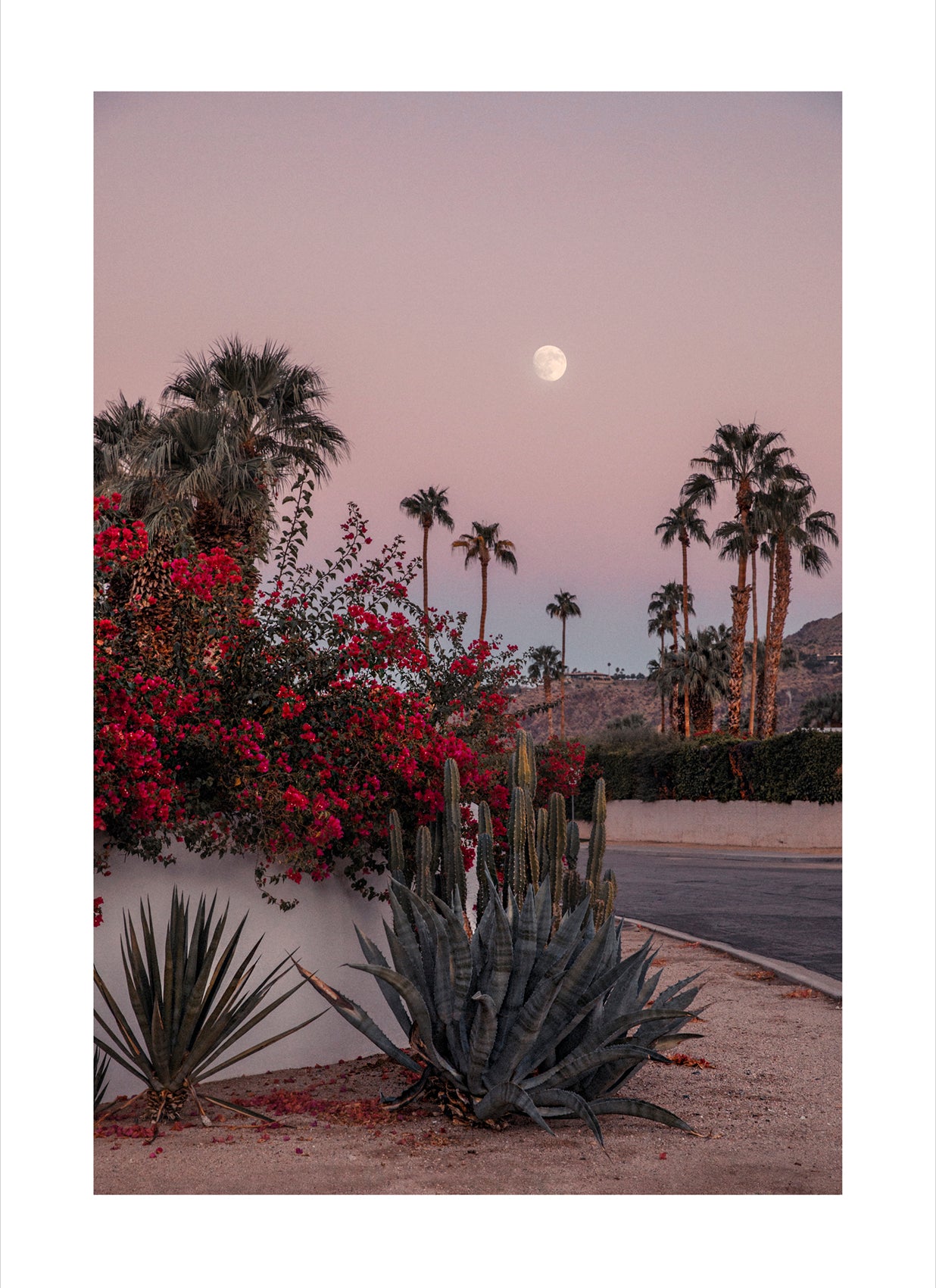 Elise Hassey - Palm Springs