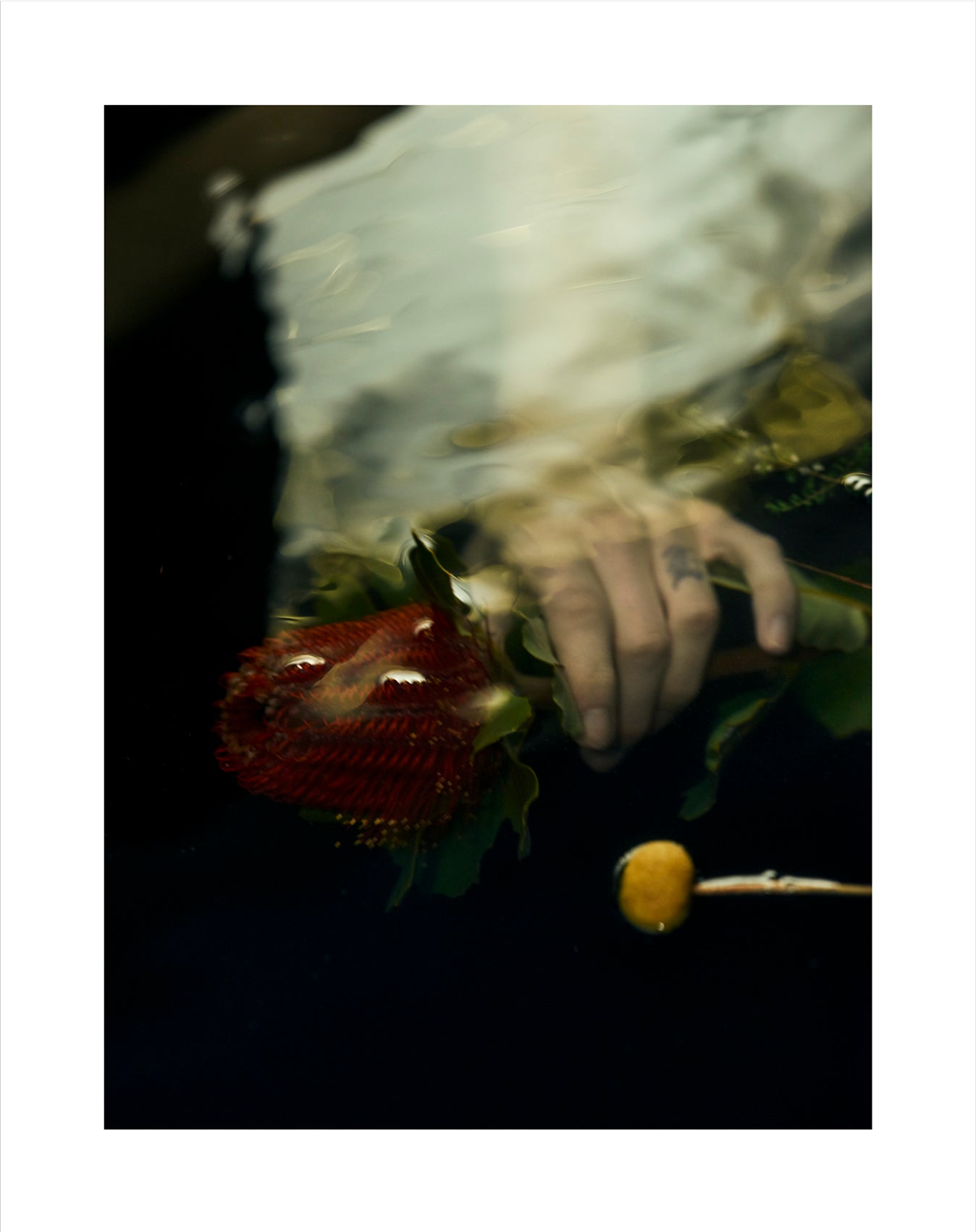 Georges Antoni - B.B.