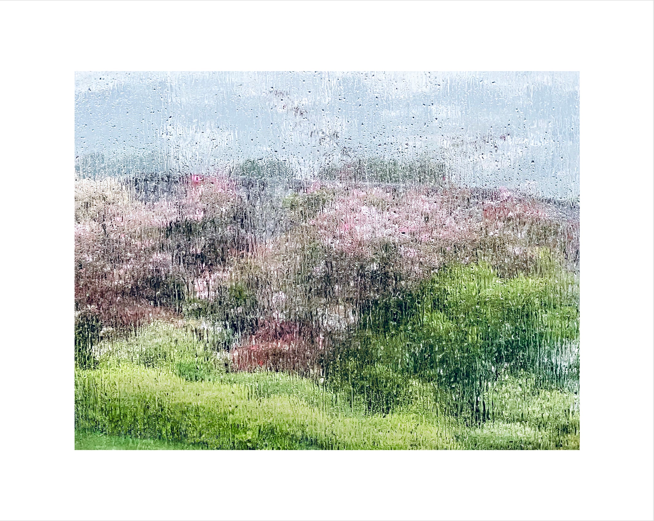 Nicky Ryan - Larmes a Cannes