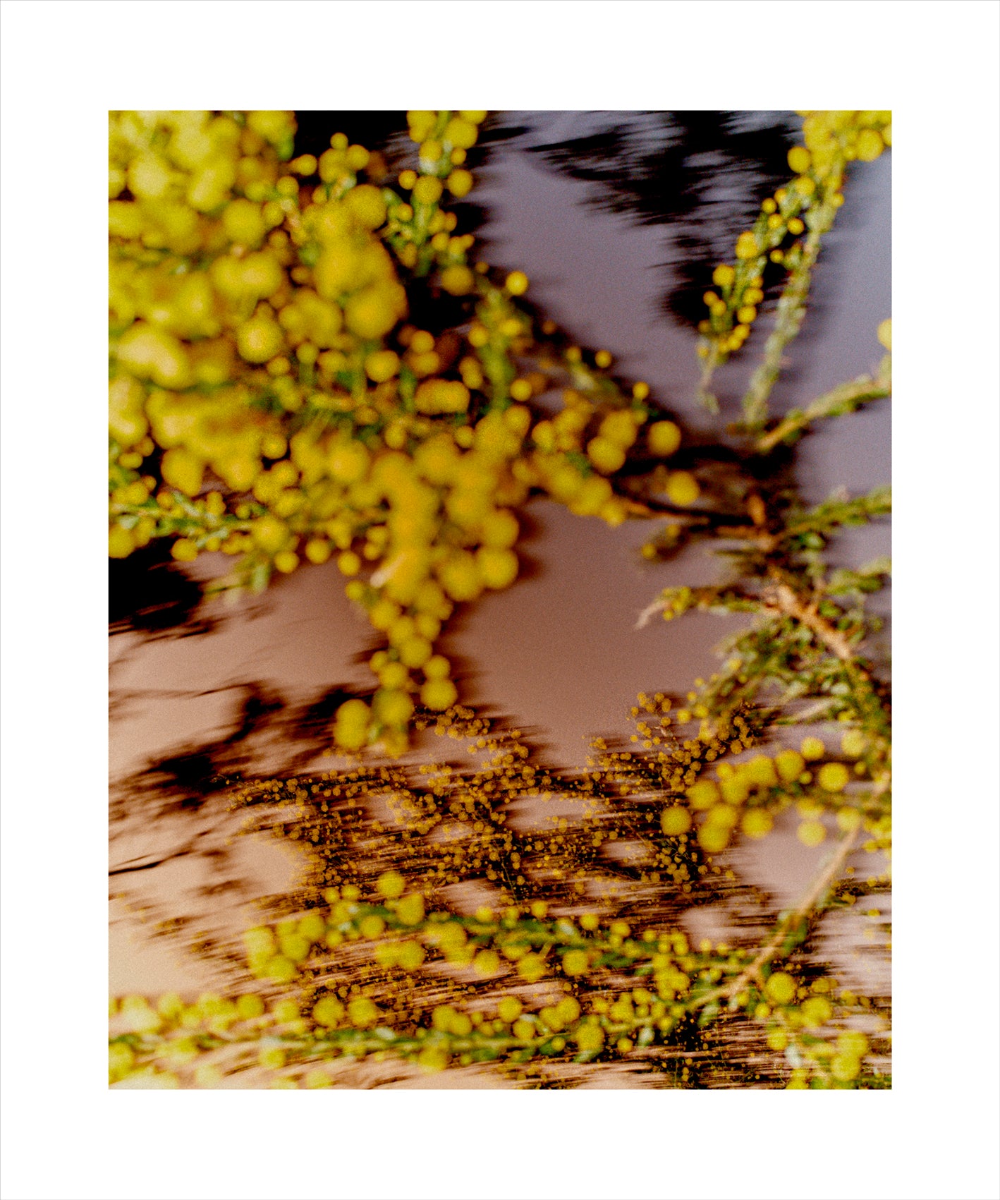 Saskia Wilson - Practice Ground, 801