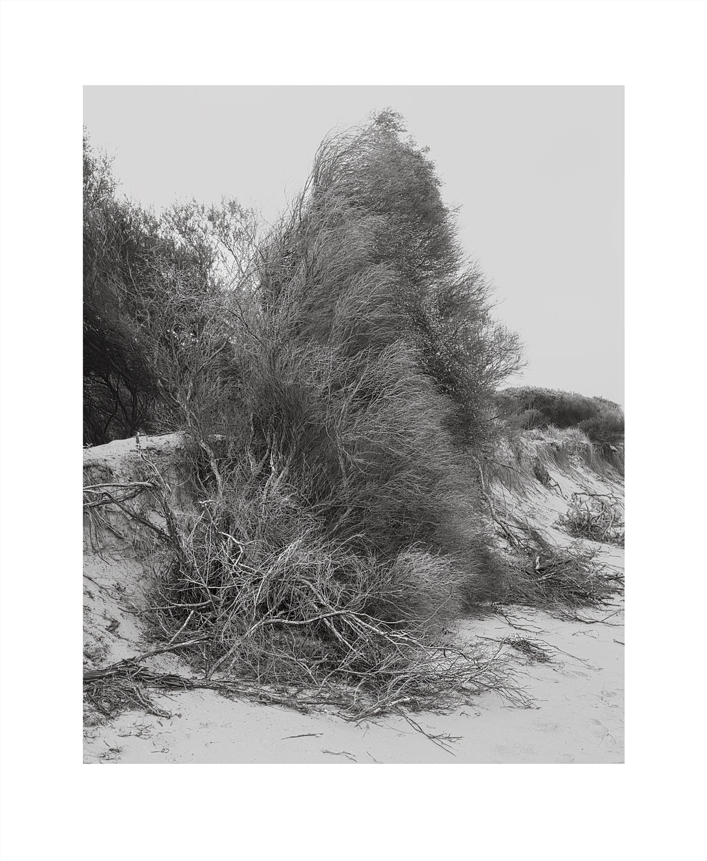 Stephen Ward (2010) - Shoalhaven Heads